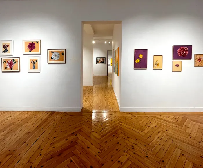 Espacio Mados 2